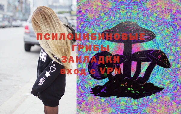стаф Алексеевка